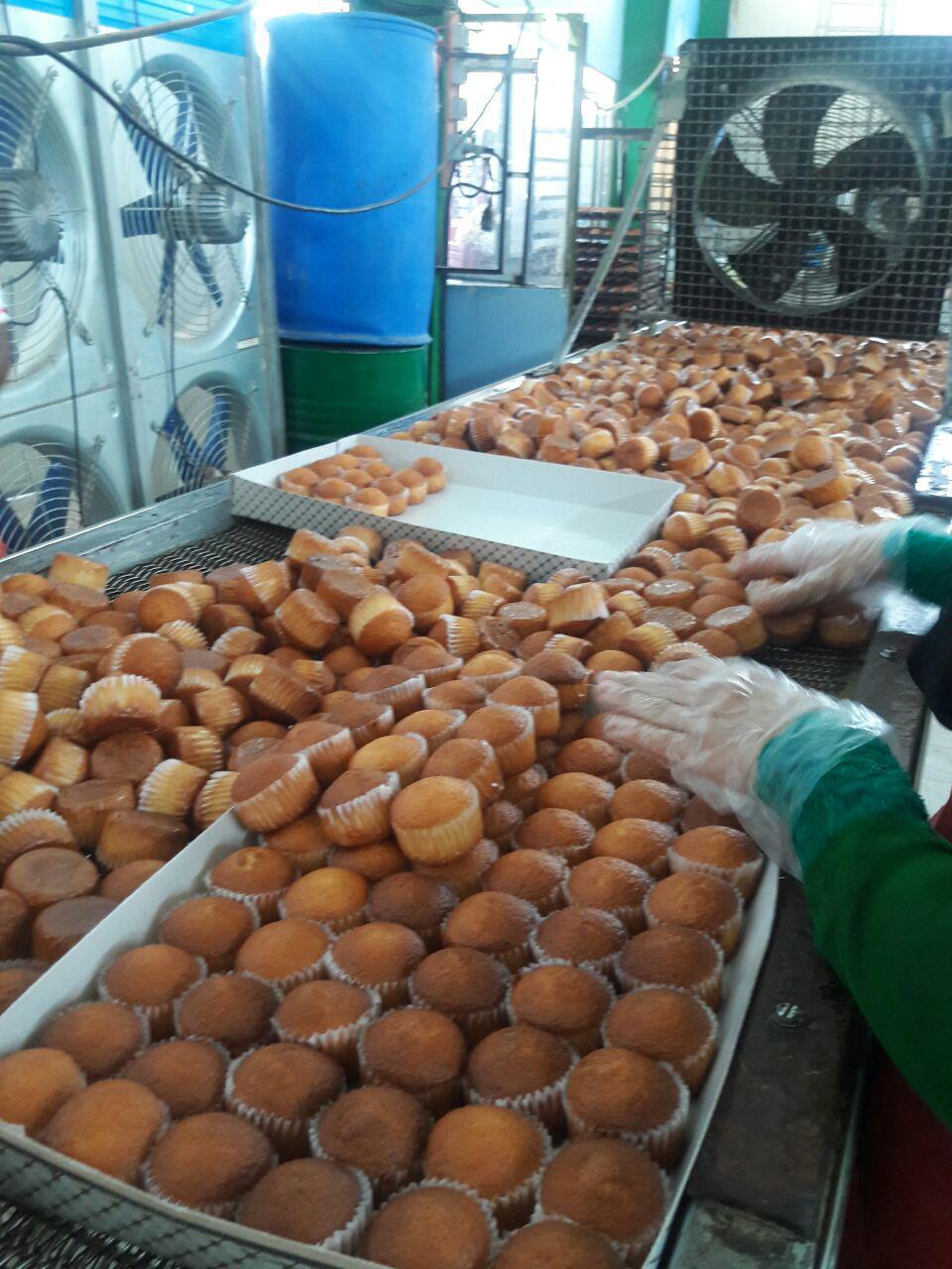 شرکت های تولید کیک یزدی