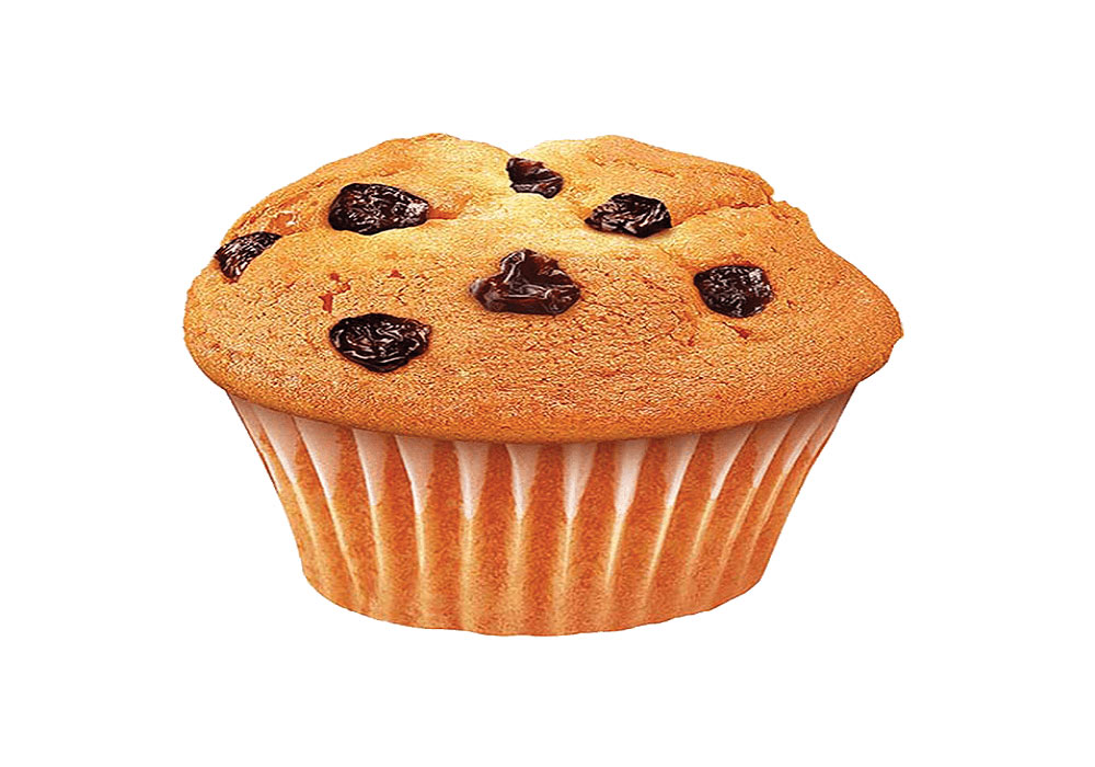 تولید کننده انواع کیک عصرانه